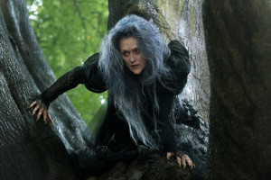 Into the Woods: Now Playing